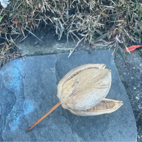 Multi piece gourd lotus natural decor  set - Picture 3 of 13